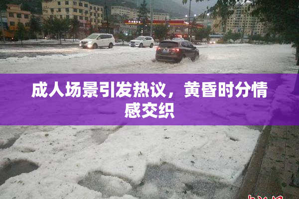 成人场景引发热议，黄昏时分情感交织