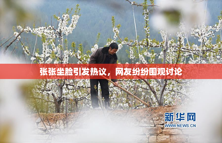 张张坐脸引发热议，网友纷纷围观讨论