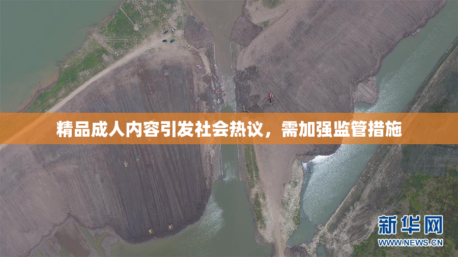 精品成人内容引发社会热议，需加强监管措施