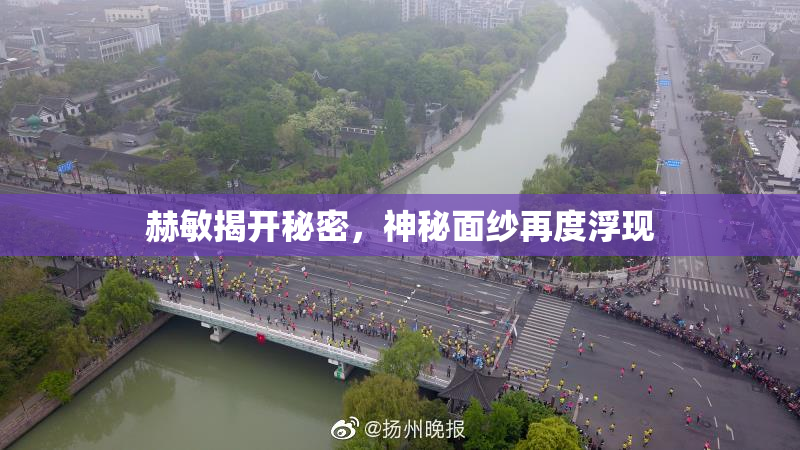 赫敏揭开秘密，神秘面纱再度浮现
