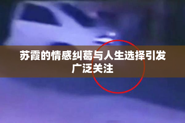苏霞的情感纠葛与人生选择引发广泛关注