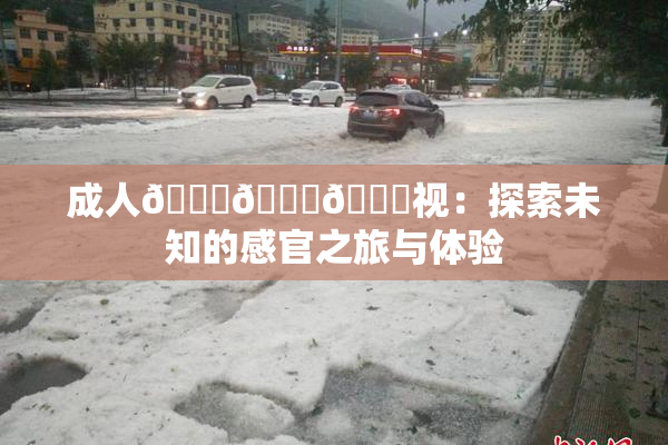 成人🍆🍑🔞视：探索未知的感官之旅与体验