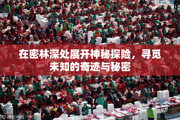 在密林深处展开神秘探险，寻觅未知的奇迹与秘密
