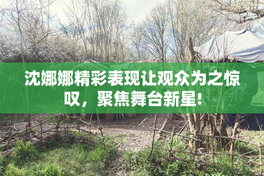 沈娜娜精彩表现让观众为之惊叹，聚焦舞台新星!