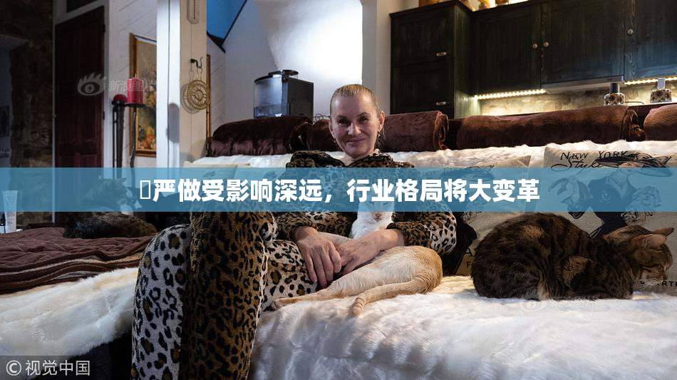 囯严做受影响深远，行业格局将大变革