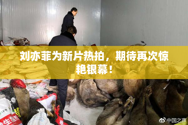 刘亦菲为新片热拍，期待再次惊艳银幕！