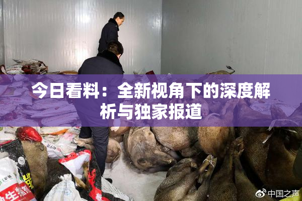 今日看料：全新视角下的深度解析与独家报道
