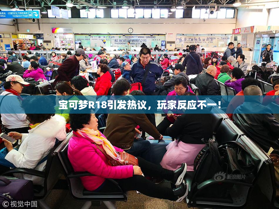 宝可梦R18引发热议，玩家反应不一！