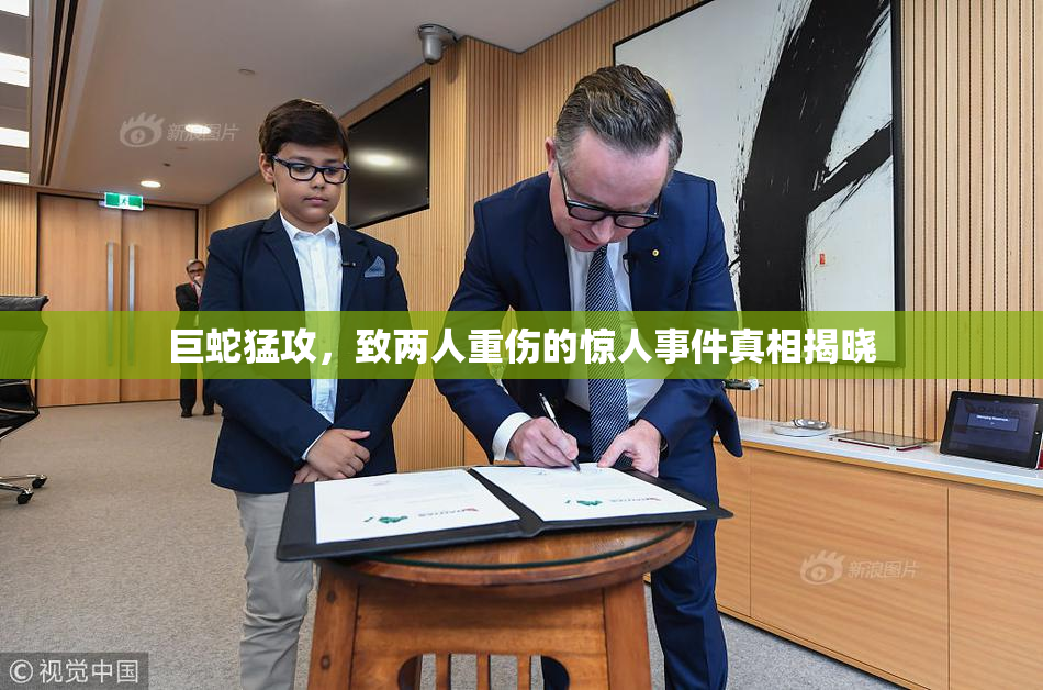 巨蛇猛攻，致两人重伤的惊人事件真相揭晓