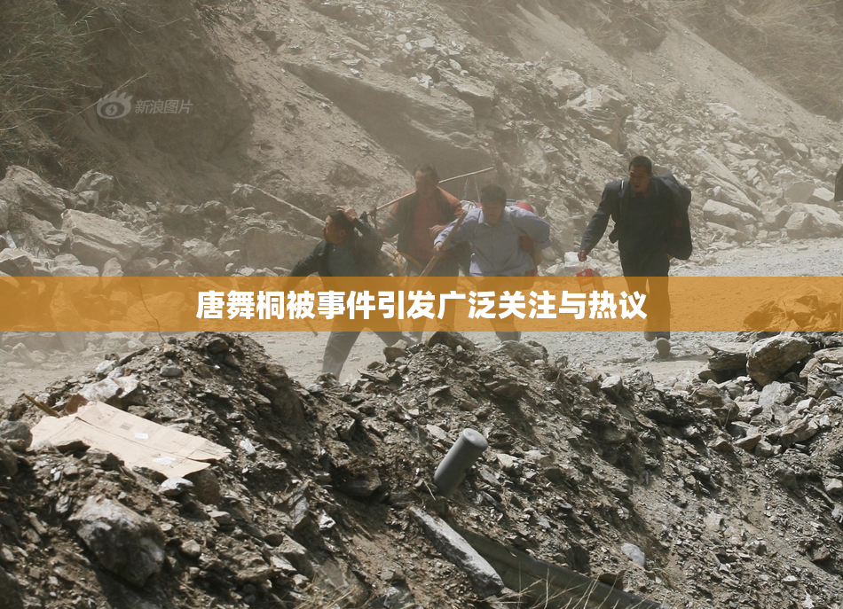 唐舞桐被事件引发广泛关注与热议