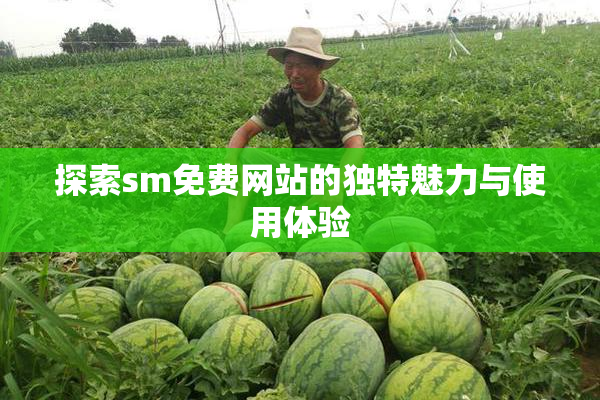 探索sm免费网站的独特魅力与使用体验