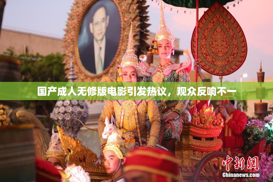 国产成人无修版电影引发热议，观众反响不一
