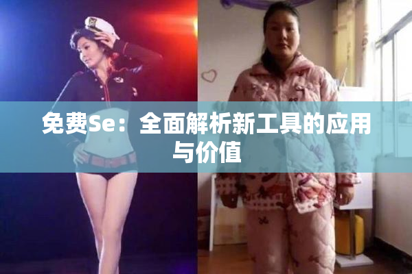 免费Se：全面解析新工具的应用与价值