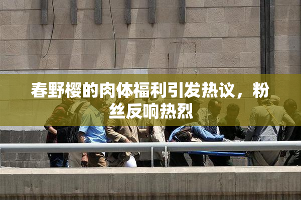 春野樱的肉体福利引发热议，粉丝反响热烈