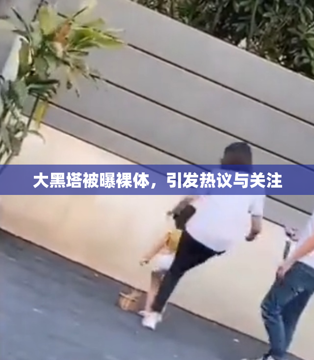 大黑塔被曝裸体，引发热议与关注