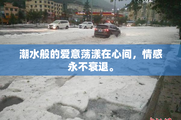 潮水般的爱意荡漾在心间，情感永不衰退。