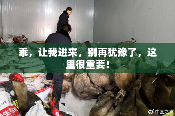 乖，让我进来，别再犹豫了，这里很重要！