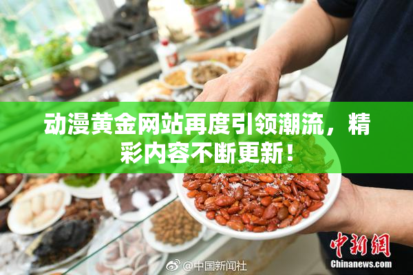 动漫黄金网站再度引领潮流，精彩内容不断更新！