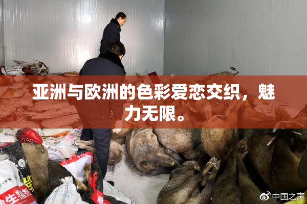 亚洲与欧洲的色彩爱恋交织，魅力无限。