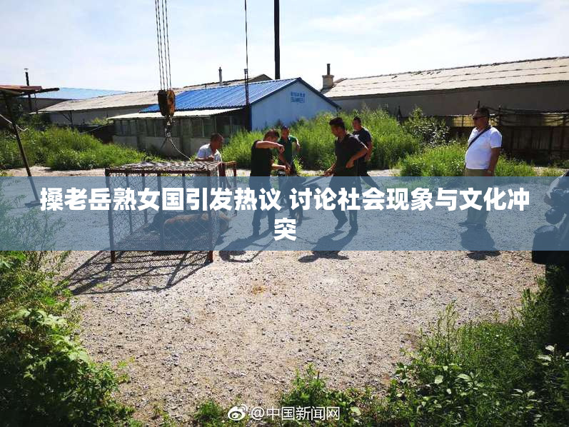搡老岳熟女国引发热议 讨论社会现象与文化冲突