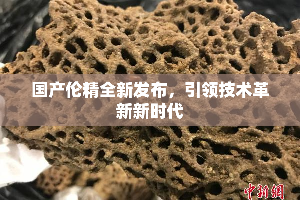 国产伦精全新发布，引领技术革新新时代