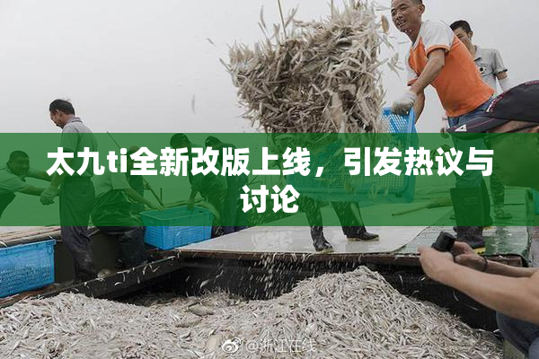 太九ti全新改版上线，引发热议与讨论