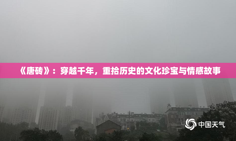 《唐砖》：穿越千年，重拾历史的文化珍宝与情感故事
