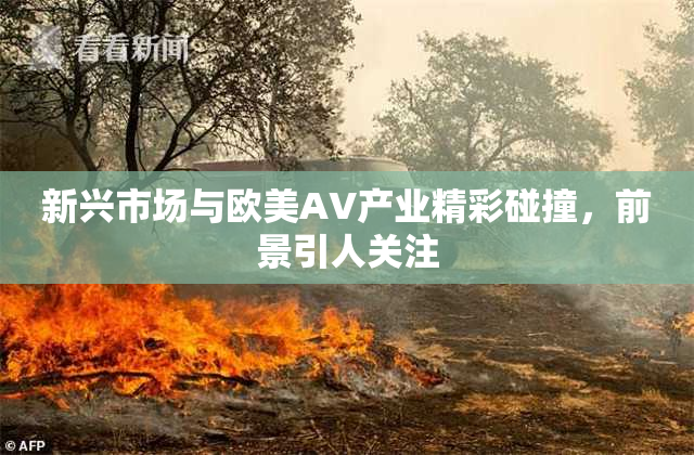 新兴市场与欧美AV产业精彩碰撞，前景引人关注