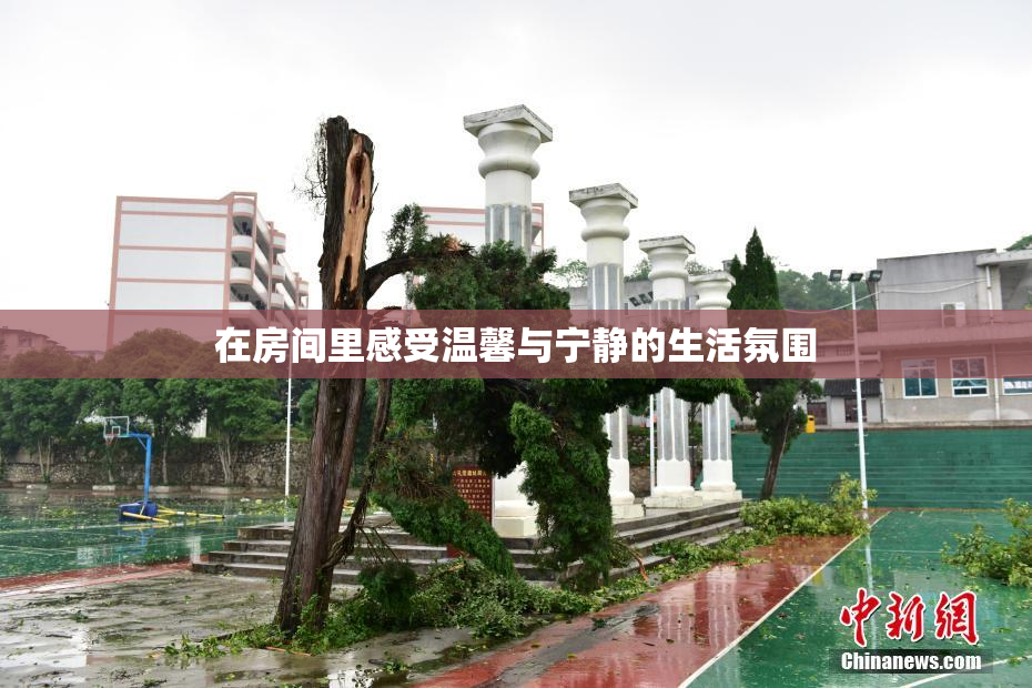 在房间里感受温馨与宁静的生活氛围