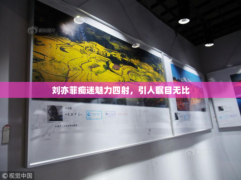 刘亦菲痴迷魅力四射，引人瞩目无比
