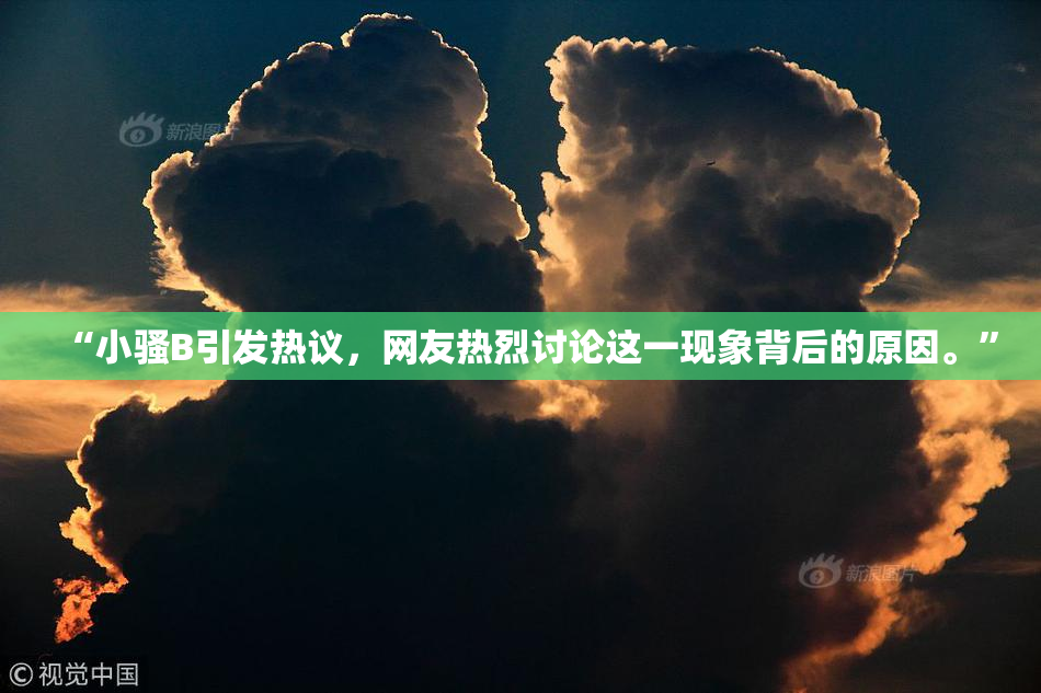 “小骚B引发热议，网友热烈讨论这一现象背后的原因。”