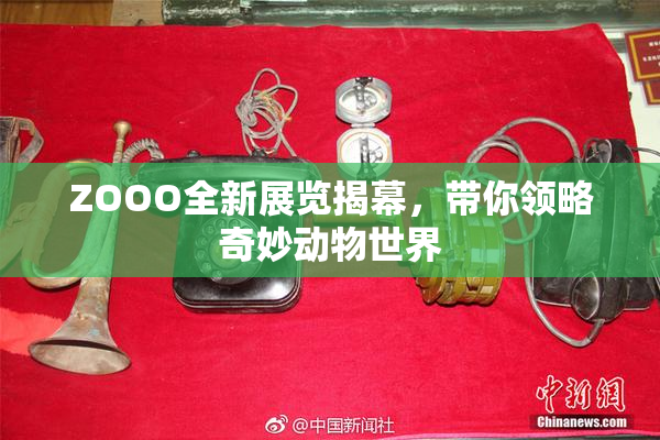 ZOOO全新展览揭幕，带你领略奇妙动物世界