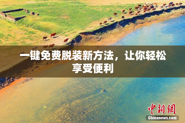 一键免费脱装新方法，让你轻松享受便利