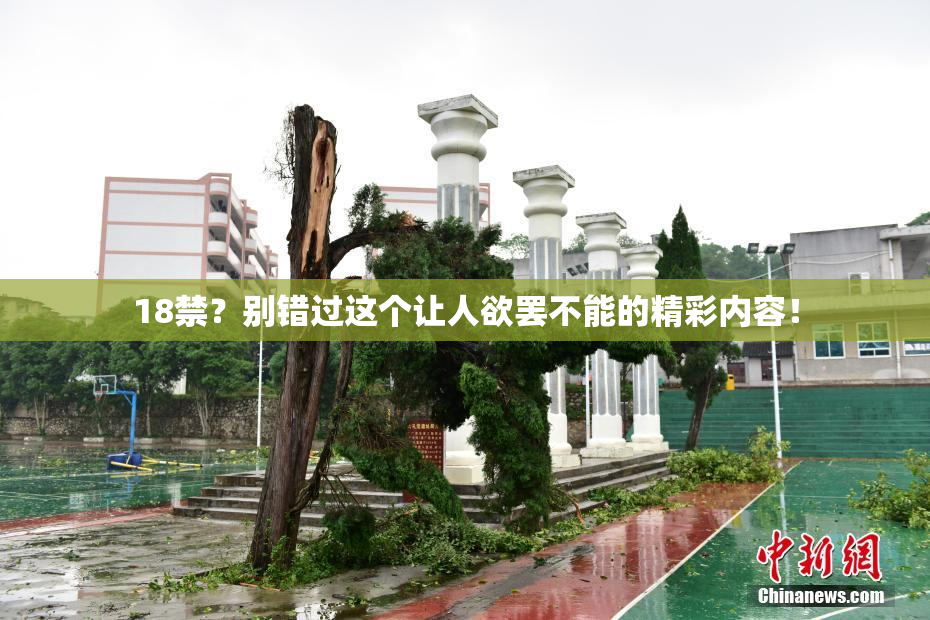 18禁？别错过这个让人欲罢不能的精彩内容！
