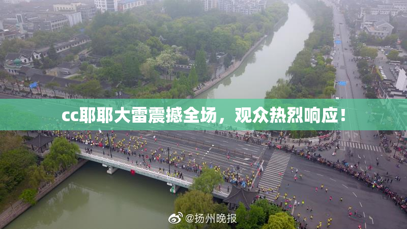 cc耶耶大雷震撼全场，观众热烈响应！