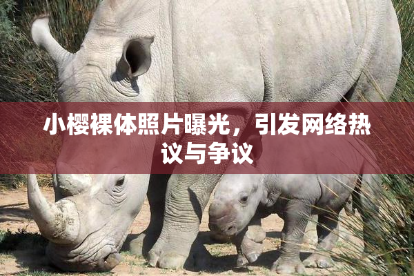 小樱裸体照片曝光，引发网络热议与争议