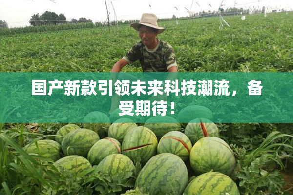 国产新款引领未来科技潮流，备受期待！