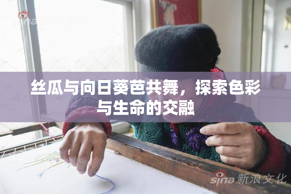 丝瓜与向日葵芭共舞，探索色彩与生命的交融