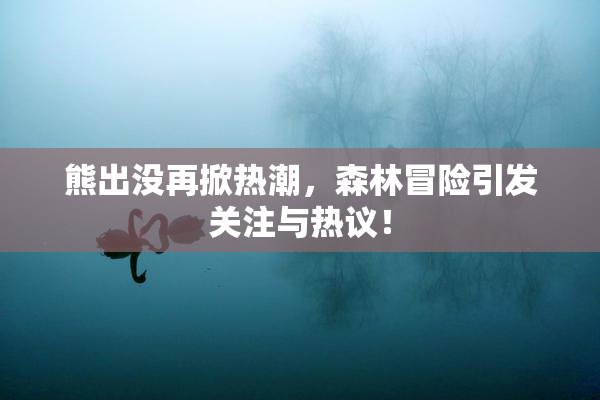 熊出没再掀热潮，森林冒险引发关注与热议！