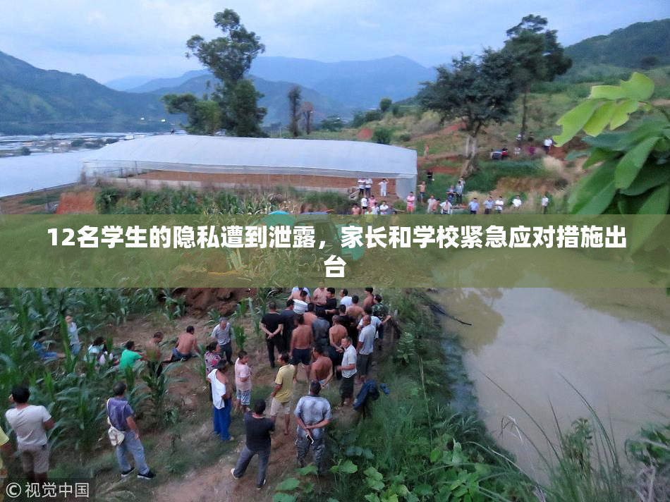 12名学生的隐私遭到泄露，家长和学校紧急应对措施出台