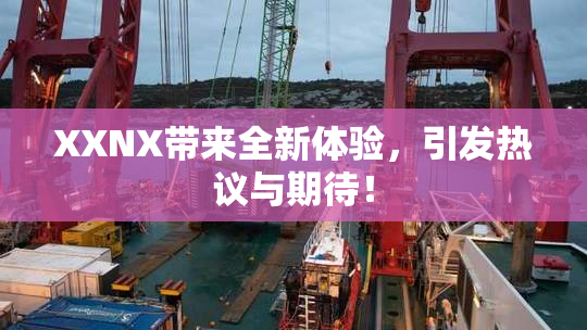 XXNX带来全新体验，引发热议与期待！