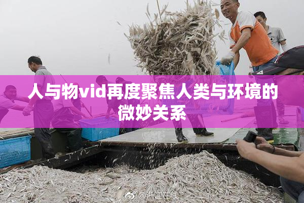 人与物vid再度聚焦人类与环境的微妙关系