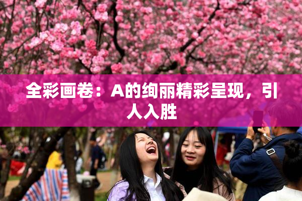 全彩画卷：A的绚丽精彩呈现，引人入胜