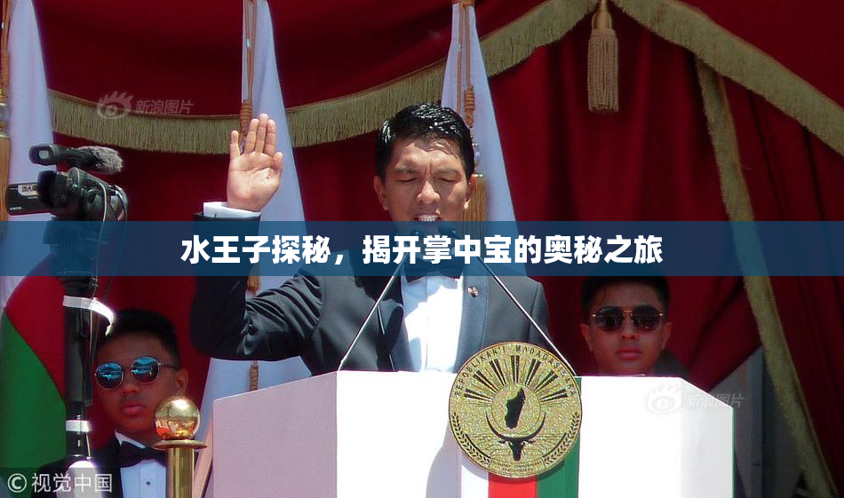 水王子探秘，揭开掌中宝的奥秘之旅