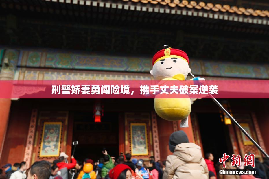 刑警娇妻勇闯险境，携手丈夫破案逆袭