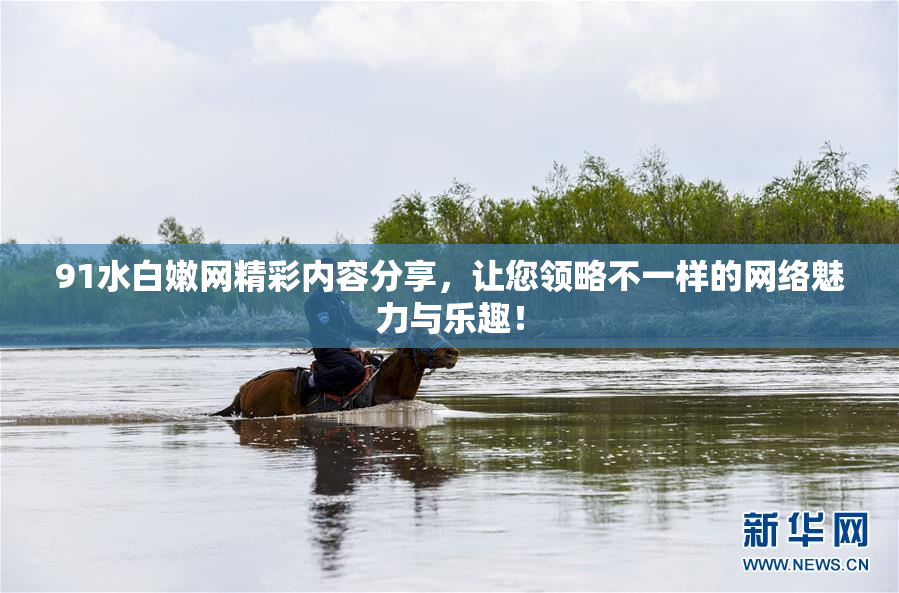 91水白嫩网精彩内容分享，让您领略不一样的网络魅力与乐趣！