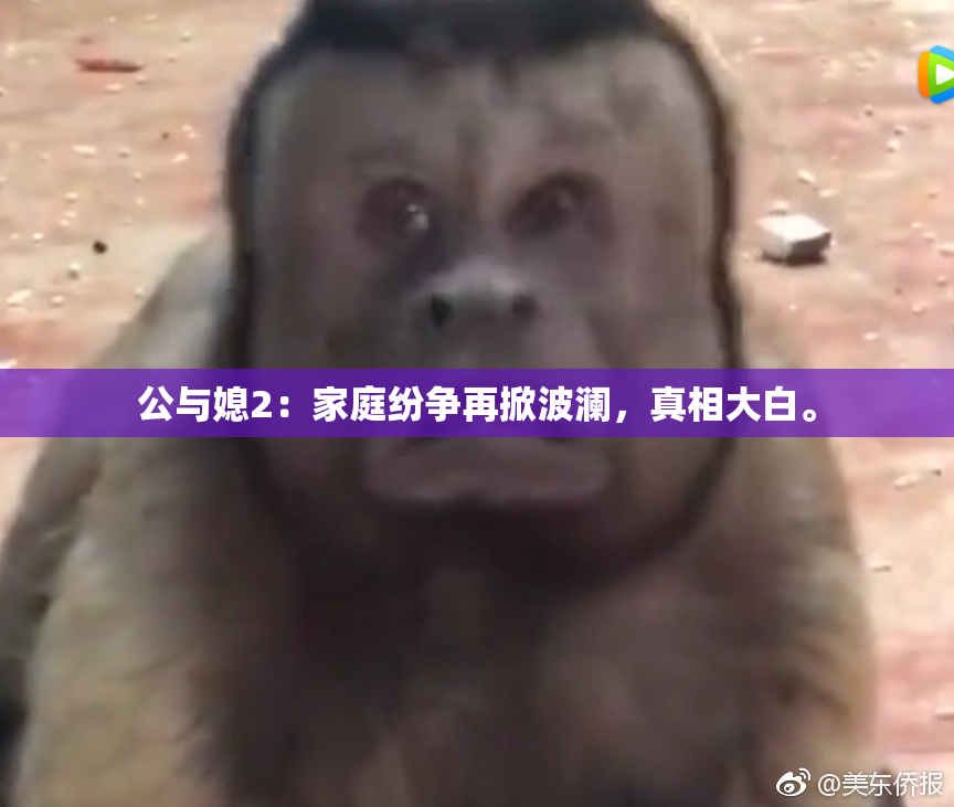 公与媳2：家庭纷争再掀波澜，真相大白。