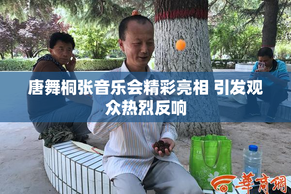 唐舞桐张音乐会精彩亮相 引发观众热烈反响