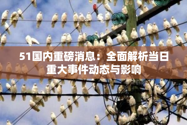 51国内重磅消息：全面解析当日重大事件动态与影响