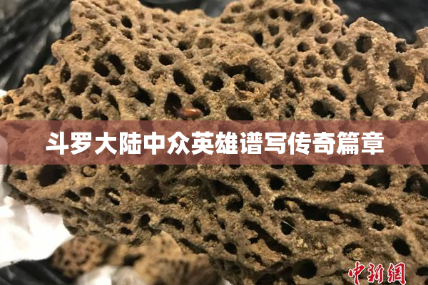 斗罗大陆中众英雄谱写传奇篇章